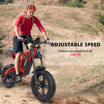 Electric Bike for Adults, 48V 15.6Ah Removable Battery, 7-Speed Electric Mountain Bike with LCD Display - image 5